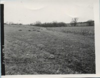 Crop land, 1967