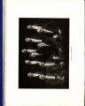 1914 Yearbook