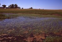 Wetland Project on Jeff Morrison's Farm.