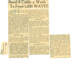 Need 6 cattle a week to feed 1,050 WAVES