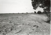 1995  Proposed Terracing Project site on Dale Edmonds' farm