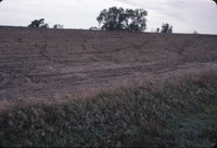 Cropland after harvest, 1983