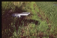 Larry Braby's Farm Before and After a Wetland Construction Project.