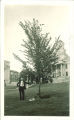 University gardener Joe Crumley with Washington elm on Old Capitol lawn, the University of Iowa, September 1936