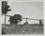 Gate and fence