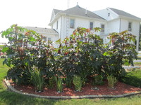 003, White farmhouse on Tyden Farm #6