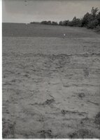 Dry fields