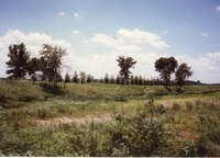 1996 Windbreaks on Debbie Burr farm