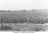 Potter, Iowa. MILW