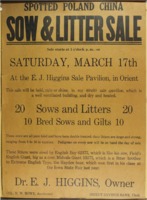 Sow and Litter Sale