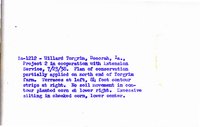 Torgrim farm, 1938