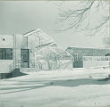 Greenhouse in winter, The University of Iowa, 1940s