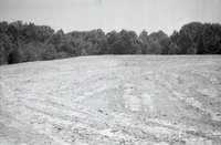 Drainage pipes in ground 