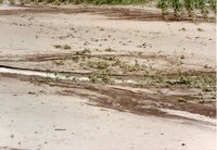 Water runoff drainage area in fields