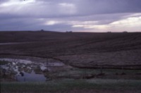 Soil Erosion, 1986