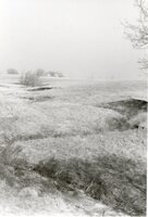 Hilly grass field