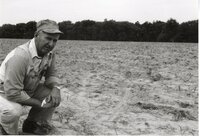 Man stoops in spindly corn
