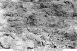 Devonian dolomite in quarry north of bridge, Forreston, Iowa, late 1890s or early 1900s