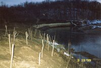 1999 Robert Yaeger Flint Creek Stream bank restoration