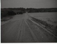 Unidentified Black and White Photo Negatives Showing Rural Scenes