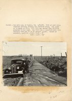 1934 - 1938 Multi-State Photograph Collection  