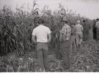1978 No-till tours