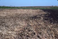 Larry Braby's Farm Before and After a Wetland Construction Project.