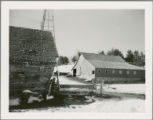 Barn, corn crib, electrical tower and animals on an Agriculture Experiment Station farm in the winter.