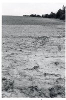 Dry fields