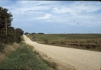 Broad-based terraces.