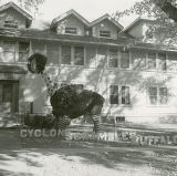 Kappa Kappa Theta Homecoming lawn display, ""Cyclone scrambles buffalo,"" 1952