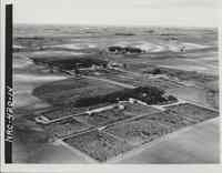 Feedlot on Clarence Voss Farm