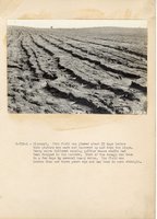 1934 - 1938 Multi-State Photograph Collection  