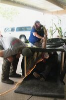 2010  Fair Booth Display table being set up by Caleb Waters, Mark Delperdang, and Jamie Grimes
