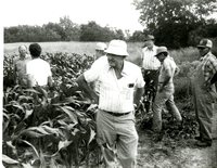 Seven People in Corn Field