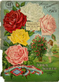 Iowa Seed Company Catalog 1913