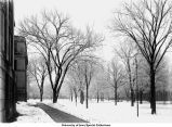 Pentacrest in winter, The University of Iowa, between 1915 and 1920
