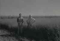 Two views of two unidentified men standing in a grassy field in Plymouth County, Iowa