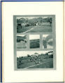 1913 Yearbook