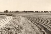 Contoured farmland with various crops