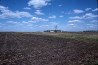 Wetland Area on Henry Hanby's Farm.