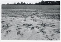 Dry fields