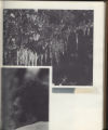 1972 Yearbook