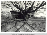 Grey house behind tree