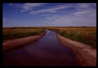 Pachmayr Marsh - Dickinson County, Iowa.