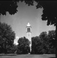 Campanile, 1952