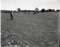 Farmer Stands in a Pasture Close to Corn Ffield