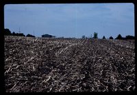 No-till Field.