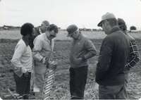 Six men examine drainage pipe in field