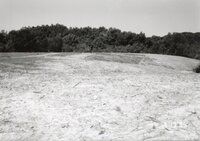 1995 Proposed Terracing Project site on Dale Edmonds' farm